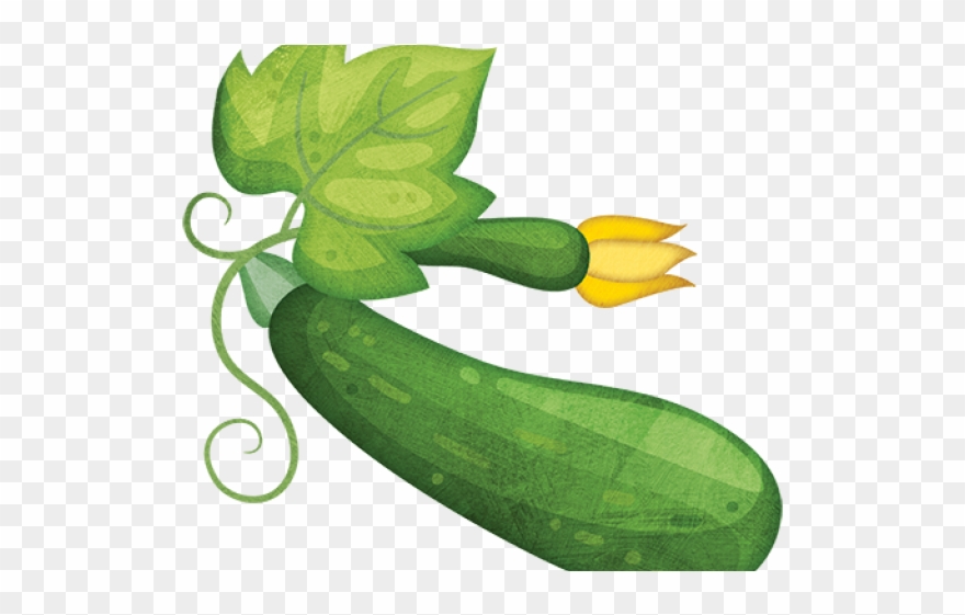 Zucchini clipart cute. Clip art png download