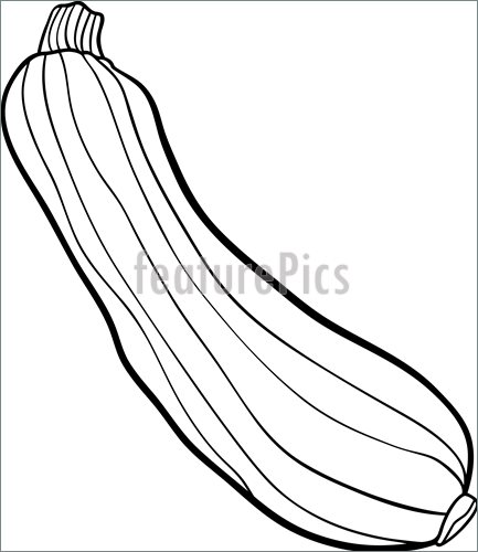 Zucchini clipart patola. X free clip art