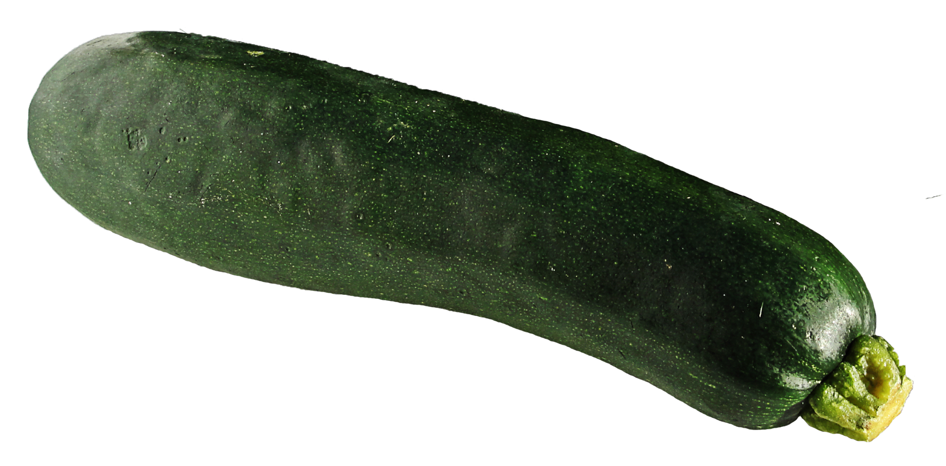 Download png photo free. Zucchini clipart transparent background