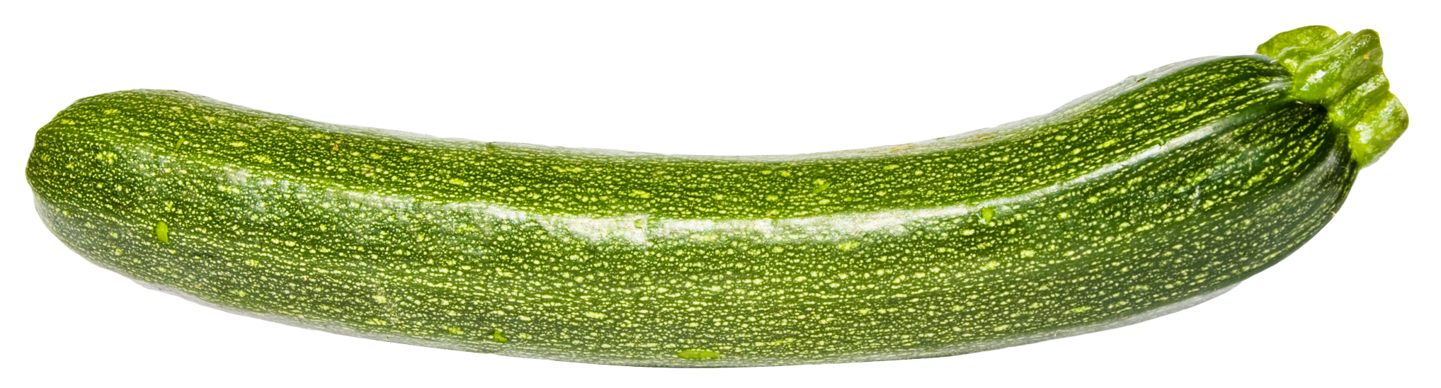 Zucchini clipart vegetable. Png image purepng free