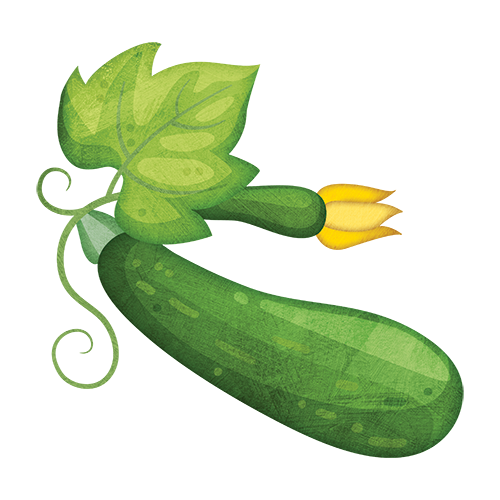 Zucchini clipart zucchini plant. X free clip art