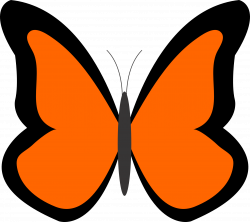 Orange Butterfly Clipart