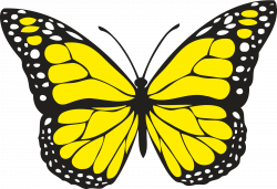 Clipart - Butterfly 1 (colour)