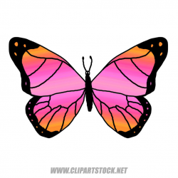 Butterfly Clipart | Clipart Stock Weblog