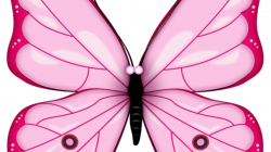 BEST 75+ Free Butterfly Clipart Colorful Images 【2018】