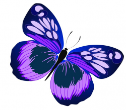 11 best Purple Butterfly Clip Art images on Pinterest | Butterflies ...