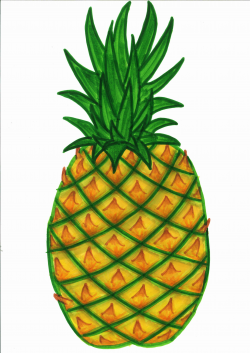 Pineapple Fruit Clipart