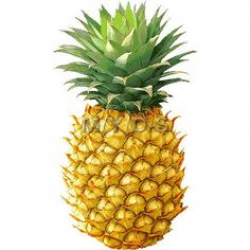 Outline Black And White Image Of A Pineapple Royalty Free Cliparts ...
