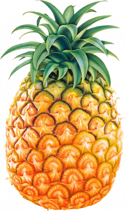 Pineapple clipart black and white free clipart 2 - Cliparting.com ...