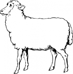 Free Black and White Sheep Clipart, 1 page of Public Domain Clip Art