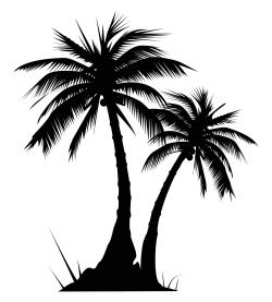 palm tree clip art black and white Quotes | Cric explore | Pinterest ...