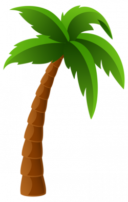 Palm Tree PNG Image Clipart | Graphics | Pinterest | Palm, Moana and ...