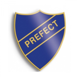 PREFECTS FYLLA | PEKI COLLEGE OF EDUCATION ( OFFICIAL WEBSITE )