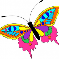 Butterfly Clipart free clipart hatenylo.com