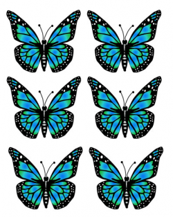 Butterflies blue butterfly clipart free images 2 - Clipartix