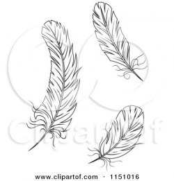 Clipart of Black and White Feathers 2 - Royalty Free Vector Clipart ...