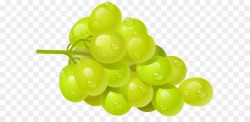 Common Grape Vine Wine Clip art - White Grape PNG Clipart Picture ...