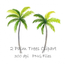 Watercolor Palm Tree Clipart Tropical PNG Instant Download