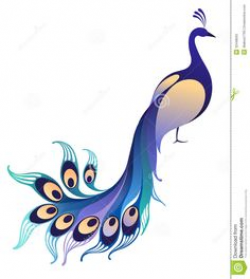 Tavuskuşu Peacock Vector | HAYVANLAR ANIMAL FİLOGRAFİ | Pinterest ...