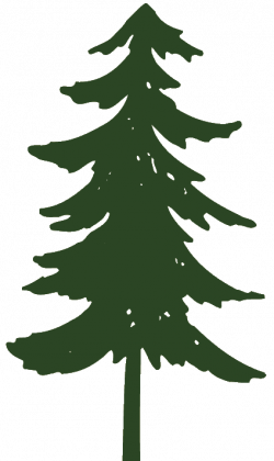 Clip art pine trees black and white free clipart image - Clipartix