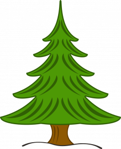Pine tree clipart free clipart images 2 - Clipartix