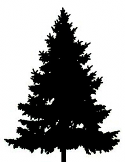 Best Pine Tree Clipart #24529 - Clipartion.com | Forest | Pinterest ...
