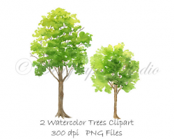 Watercolor Trees Clipart, PNG Instant Download, Hand Painted Spring ...