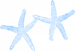 Two Blue Starfish Clip Art at Clker.com - vector clip art online ...