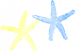 Blue And Yellow Starfish Clip Art at Clker.com - vector clip art ...