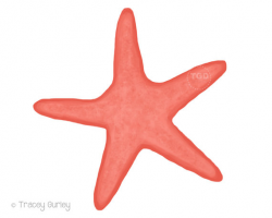 Coral Starfish Original art download 2 files starfish clip