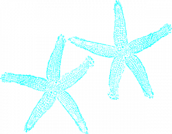 Starfish clipart free 2 » Clipart Station