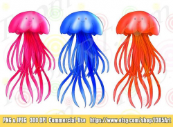 Jellyfish Clipart, Jellyfish clip art, Sea Life Clipart, Digital ...