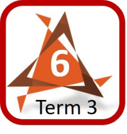 Grade 6 Term 3 PDF