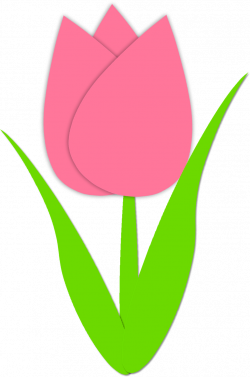 Pink and yellow tulip clip art clipart free download - Clipartix