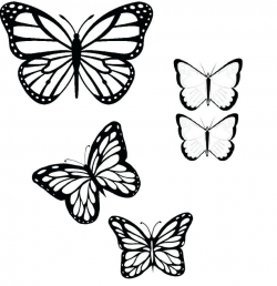 Butterfly Drawing Outline at GetDrawings.com | Free for personal use ...
