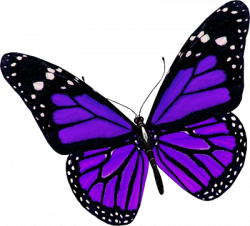 The Top 5 Best Blogs on Small Butterfly Clipart Purple