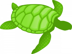 Sea Turtle Clip Art at Clker.com - vector clip art online, royalty ...
