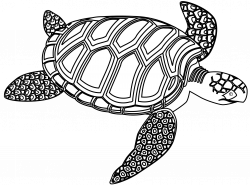 black and white turtle - Google Search | Bazzart | Pinterest ...