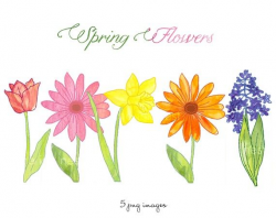 free clipart spring flowers 162 best clip art flowers etc images on ...