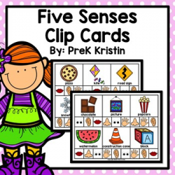 5 Senses Clip Cards Teaching Resources | Teachers Pay Teachers