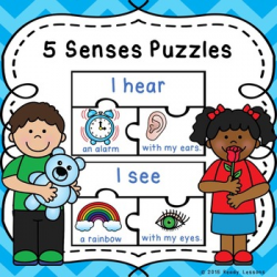 5 Senses Sort Teaching Resources | Teachers Pay Teachers