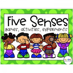 5 Senses Bingo. Teaching Resources | Teachers Pay Teachers
