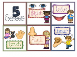 Five Senses Poster Teaching Resources | Teachers Pay Teachers