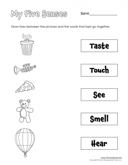 Free Five Senses Worksheets for Kids | 5 Senses Craft