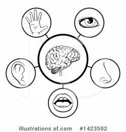 Senses Clipart #1423502 - Illustration by AtStockIllustration
