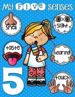FREE Five Senses Anchor Charts | Preschool academics | Five ...