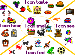 5 senses webquest for kids | Your children learned about all 5 ...