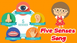 The Five Senses Song For Kids | Kids Education Song | Kids Tube ...