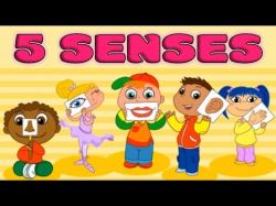 Five Senses: Taste, Smell, Sight, Hearing, Touch - Quiz for ...