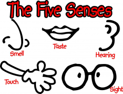 Appealing Senses Clip Art On Clipart Library Of Coloring Pages ...